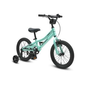 Progear Duralite 16" Bike In Mint