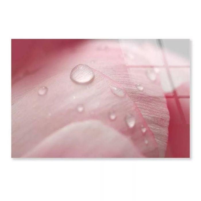 Pink Flower With Water  Print 100% Australian Made 50 x 40cm  (Acrylic)