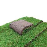 Sir Walter 0.5m² DNA Certified Soft Leaf Buffalo Turf Slab