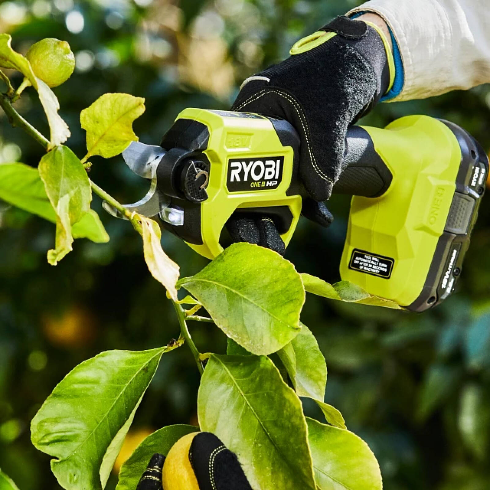 Ryobi ONE 18V HP Brushless Pruning Secateurs Tool Only Bunnings Australia