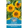 Mr Fothergill's Sunflower Double Delight F1 Seeds