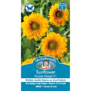 Mr Fothergill's Sunflower Double Delight F1 Seeds