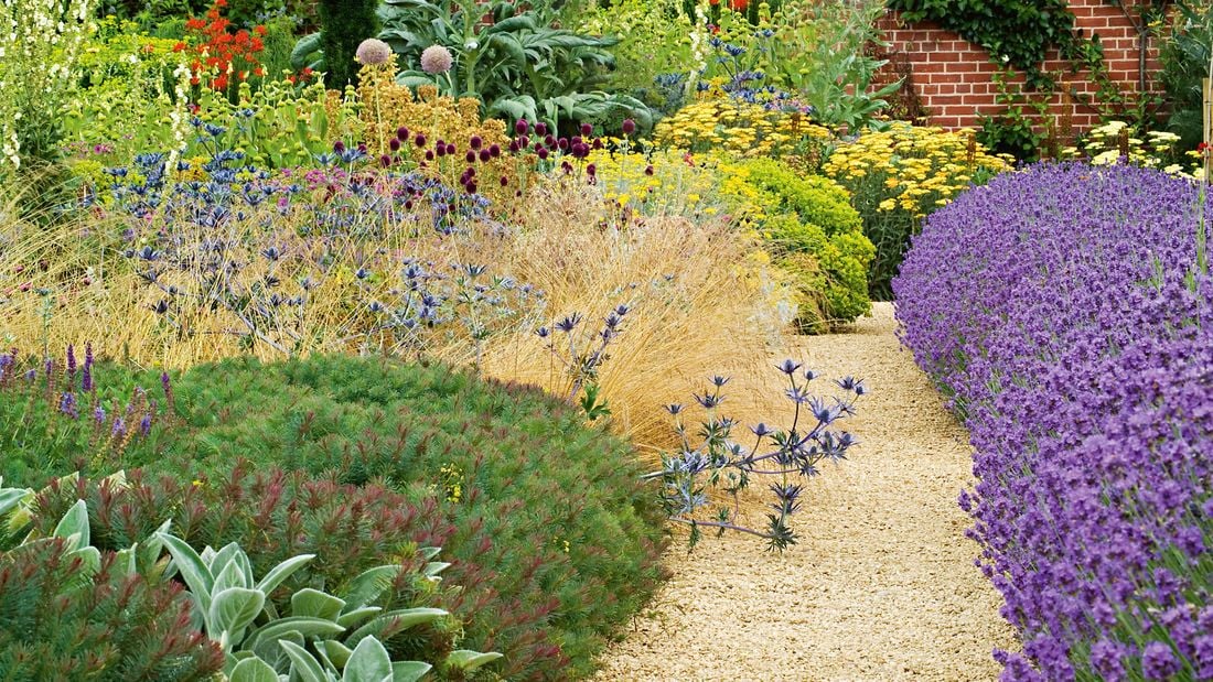 A gravel pathway leading down between two large full garden beds