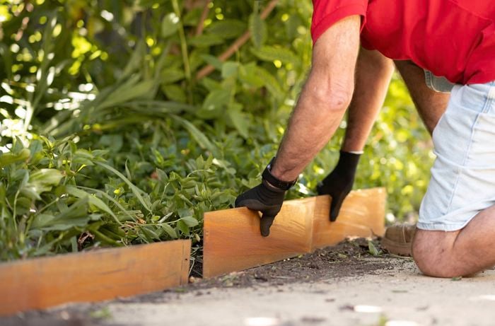 Placing wooden edging in the garden.