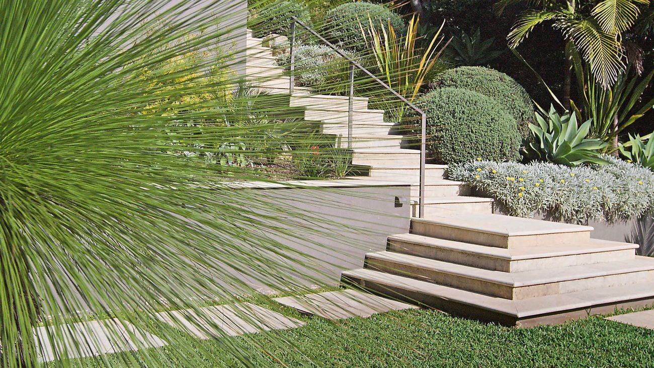 A mature native grass tree (Xanthorrhoea) placed front and centre makes a hardy feature for your garden