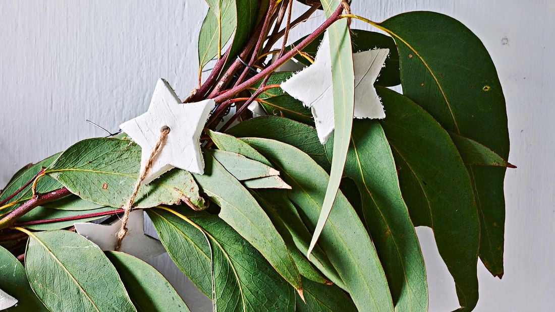 Christmas wreath made from eucalyptus leaves with clay star decorations