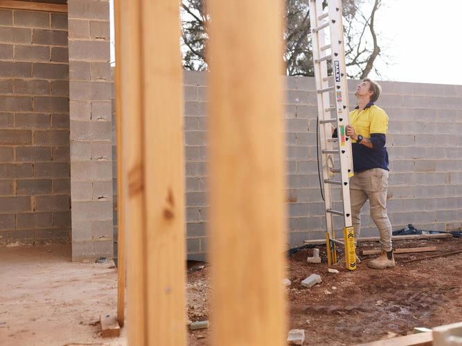 Bailey Aluminium Leveller Ladder