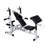 vidaXL Multi Station Weight Bench Gym Press Leg Fitness Ab Set Curls Sit Up
