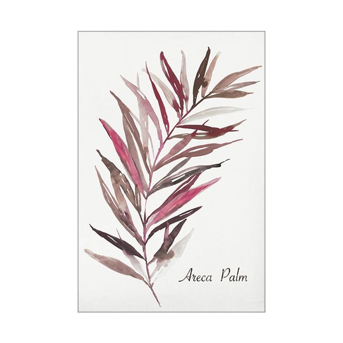 Artey | Areca Palm - Stretched Canvas - Stretched Canvas - 60 x 90cm