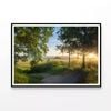 Footpath, Sunrise with Trees  Print 100% Australian Made 90x60cm  (Poster)