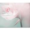Single Dreamy Surreal White Flower  Print 100% Australian Made 75 x 50cm  (Stretched)