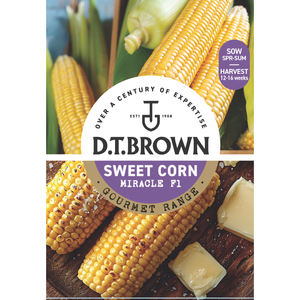 D.T. Brown Gourmet Sweet Corn Miracle F1 Seeds