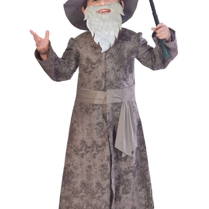 Wise Grey Wizard Boys Dress Up Costume - 9-10