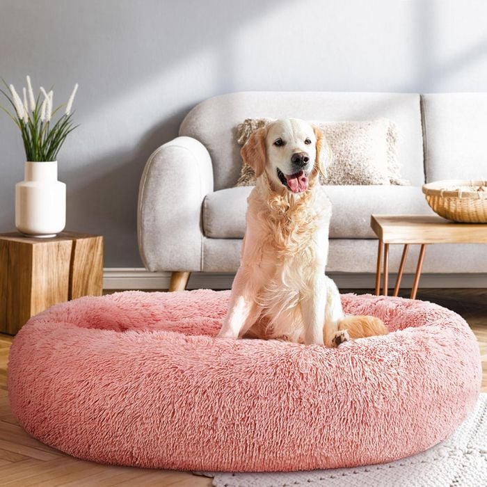 Pink and grey dog bed best sale