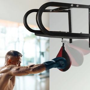 RTM Speedball with Wall Frame Boxing Punching Bag