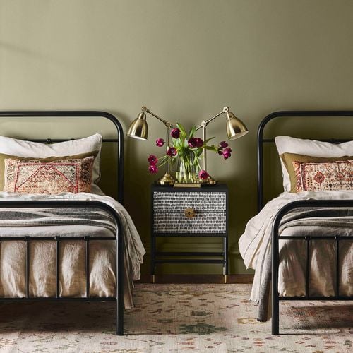 Porter's
  Paints Eggshell Finish in colour Timberline