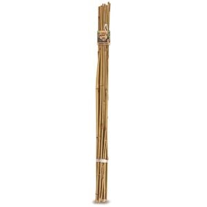 Brunnings 9 x 9 x 2400mm Bamboo Garden Stakes - 10 Pack