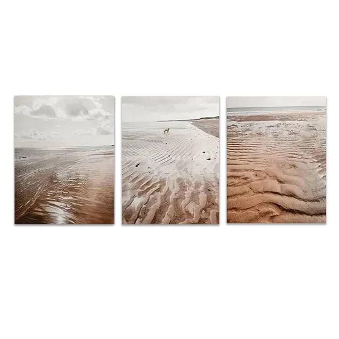 3pcs Beachscape Coastal Nature Scenery Print 100% Australian Made 3 x 40x60cm (Metal Print)