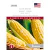 Johnsons Seed Sweet Corn Snow Gold World Kitchen