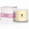 Nicola Spring 400g Soy Wax Scented Candle - Summer Berries - 45 Hour Burn Time Relaxation Aromatherapy Gift Ready Jar Candle