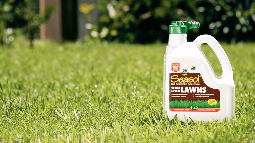 2 litre bottle of Seasol on a green lawn