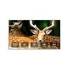 Winways Ust Throw Alr 120" Fixed Frame Lenticular Screen