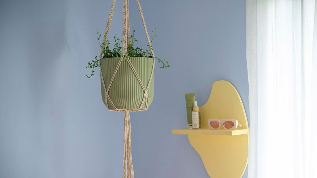 An image of a lush green hanging plant.