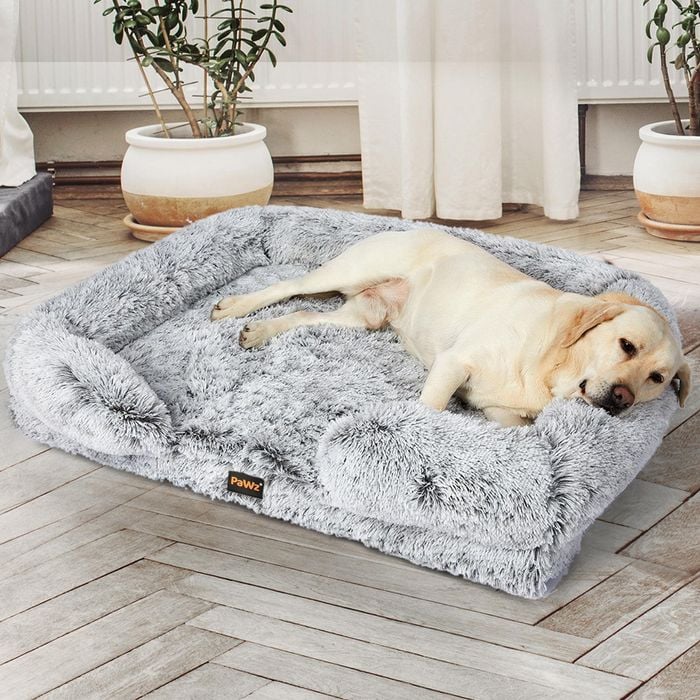 Puppy bed online hotsell