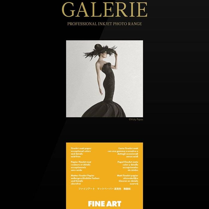 Ilford Galerie Fine Art Smooth 200gsm 44 111.8cm x 15m Roll GPFAS