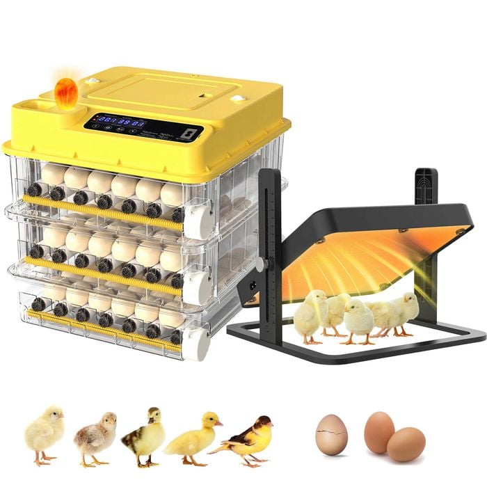 Advwin 108 Egg Incubator + Chicken Brooder Heating Plate