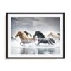 Artey | Horse Run V - Framed Print - Black Frame - 60 x 75cm
