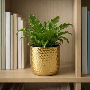 Eden 11.5cm Gold Ceramic Hammered Pot - 11.5cm
