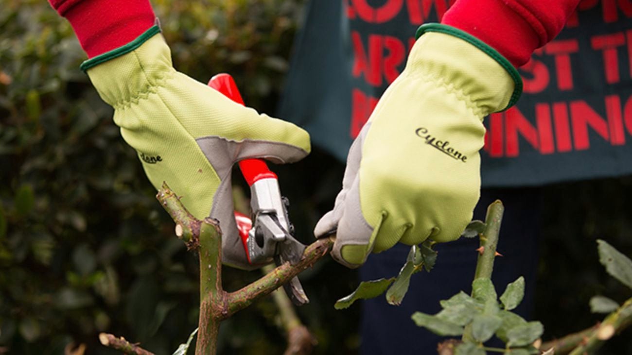 Gloved person pruning garden with a pruner