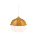 Brilliant Copenhagen 24.5cm DIY Timber Look Pendant Light