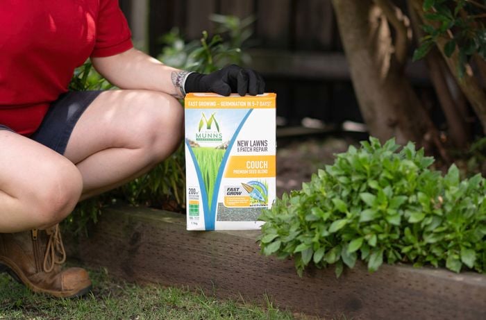 A person is holding Couch grass premium seed blend