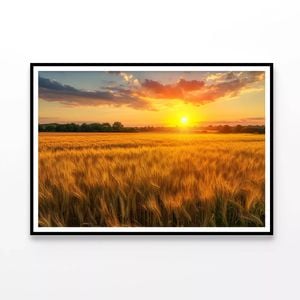 Wheat Fields At Sunset  Print 100% Australian Made 120x90cm  (Poster)