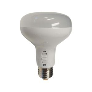IXL 10W R80 Motion Sensor LED Globe