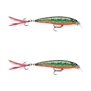 2x Rapala 6cm X Rap Jerkbait/Slashbait Hard Body Fishing Lures - Brook Trout