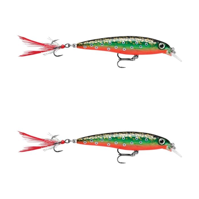 2x Rapala 6cm X Rap Jerkbait/Slashbait Hard Body Fishing Lures - Brook Trout