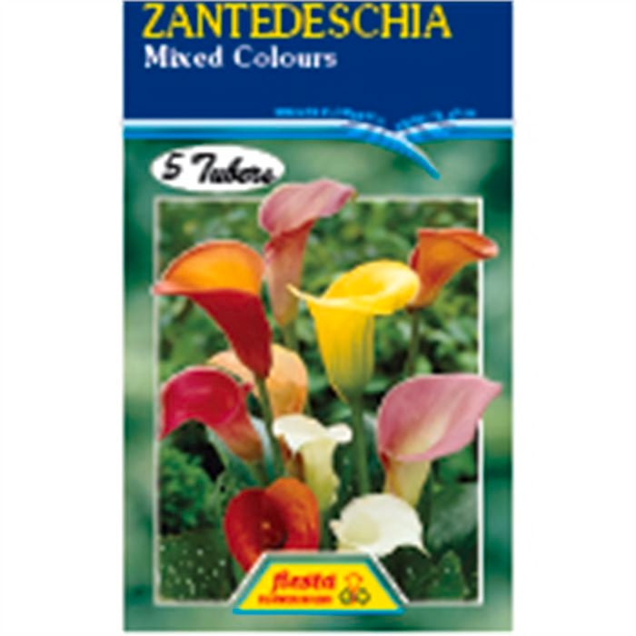 Bulb Calla Mixed 5-pk