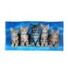 Curious Kittens Cotton Beach Towel 75 x 150 cm