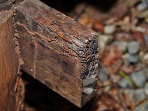 DIY Step Image - How to identify dry rot . Blob storage upload.