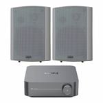 WiiM Salon Background Music System Streaming Amp Indoor Speakers