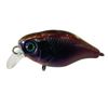 Jackall Chubby 38 Shallow Hard Body Fishing Lure UL Bug