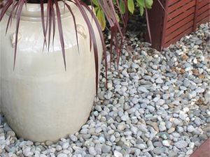 Product.Daltons Coarse Riverstone 20-40mm 15L.0237613.NZ.productOtherMedia.0