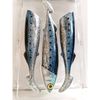 Entice TRex Bluewater Livies Soft Plastic Tuna Game Fishing Lure Pilchard