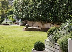 Backyard with a pot plant, outdoor chair and a raised garden bed
