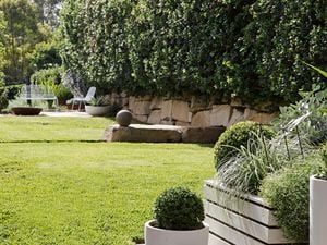 Backyard with a pot plant, outdoor chair and a raised garden bed
