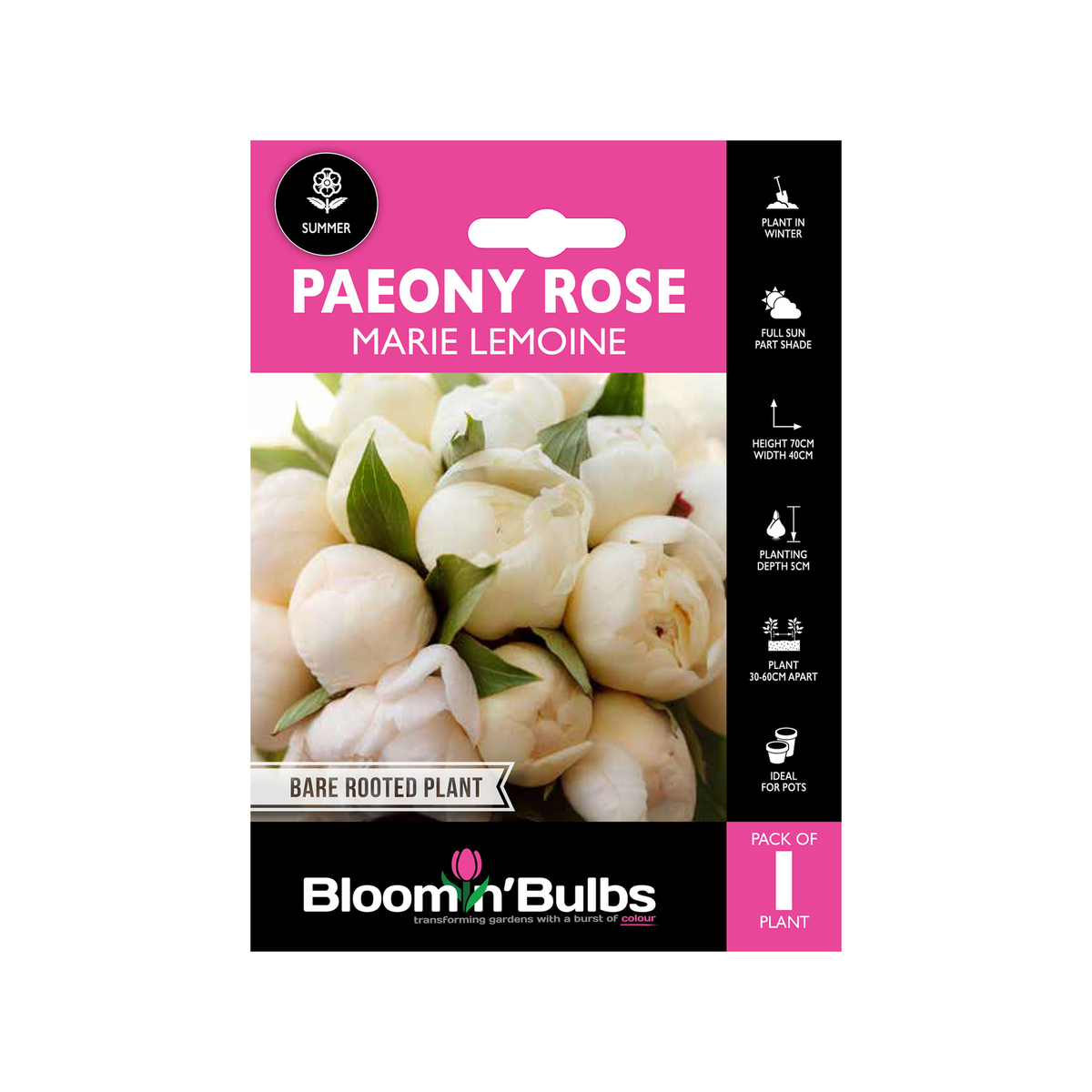 Bloomin Bulbs Peony Rose Marie Lemoine - 1 Pack - Bunnings Australia
