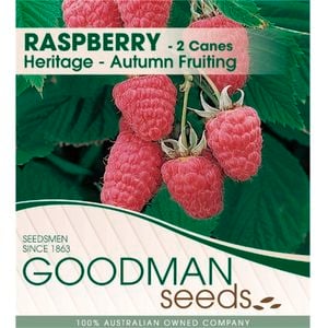 2 Canes Rasberry - Rubus Neglectus